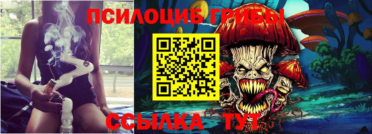 Галлюциногенные грибы Psilocybine cubensis  наркошоп  Вход с VPN  Кисловодск  Галлюциногенные грибы ЛСД 