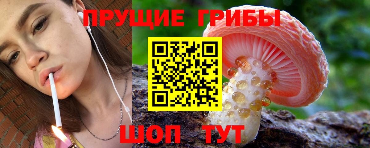 Галлюциногенные грибы GOLDEN TEACHER Кисловодск